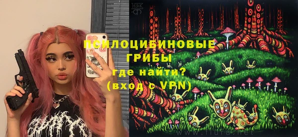 гидропоника Аркадак