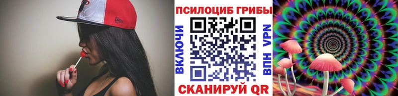Галлюциногенные грибы мухоморы  даркнет какой сайт  Суджа 