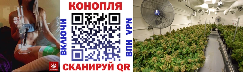 цена   Суджа  MEGA ССЫЛКА  Бошки Шишки семена 